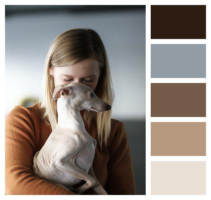 Dog Owner Dog Italian Greyhound Image